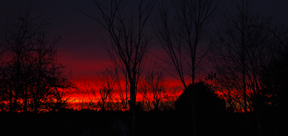 Picture I took outside of my house on November 7, 2011